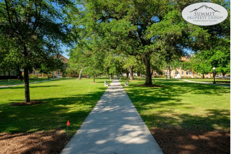 Beautifully maintained park with lush green grass, shaded by large trees, and a clean concrete walkway leading to a building, highlighting professional landscaping